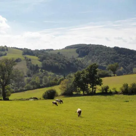 Chaleureux Avec Cheminee, Terrasse Et Jardin Clos - Animaux Acceptes - Fr-1-496-30 * Maringes