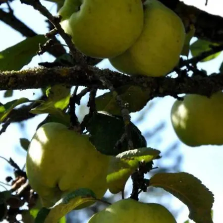 Chaleureux Avec Cheminee, Terrasse Et Jardin Clos - Animaux Acceptes - Fr-1-496-30 Maringes