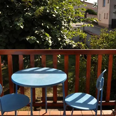 Avec Cheminee Et Jardin Clos Pres De Chazelles-sur-lyon - Fr-1-496-30